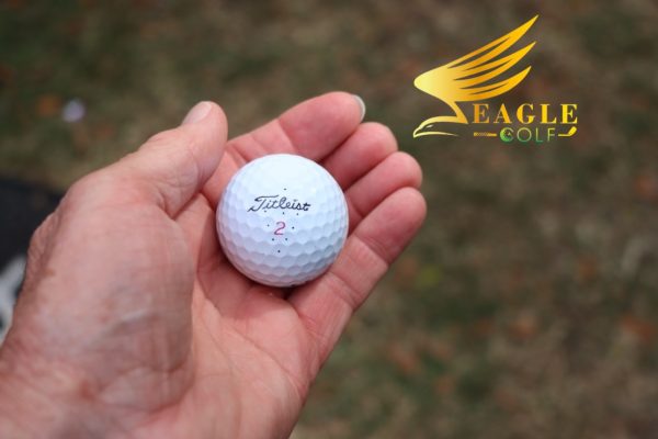 Titleist Pro V1x