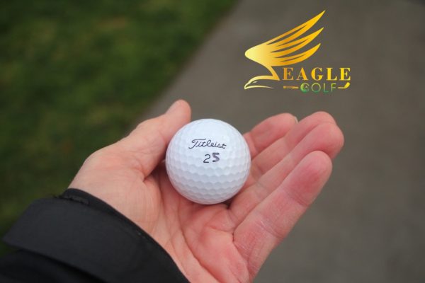 Bóng Titleist Pro V1